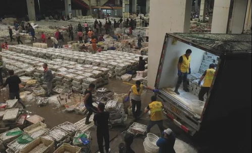 浙江水产城荣获省级食品安全规范化A级农批市场称号，引领食用农产品批发新标杆