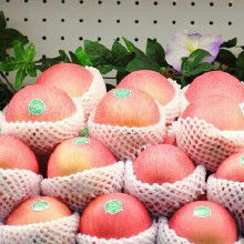 从田间到市场 中国苹果产业链的价格、批发与厂家全景