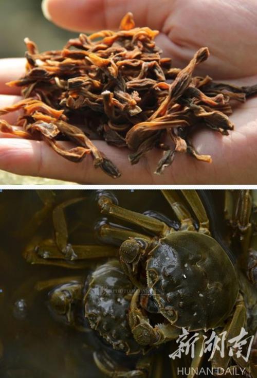 中提出,要逐步建成从批发到零售,从农田到餐桌全程的食用农产品质量